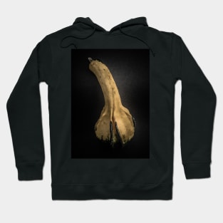 Gourds No 4 Color Version Hoodie